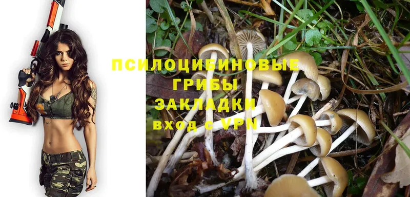 наркотики  Аргун  Галлюциногенные грибы Magic Shrooms 